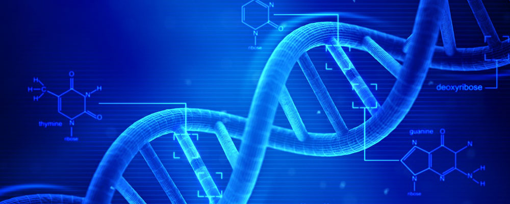 Genetik ve Biyomühendislik