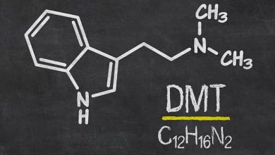 DMT Molekülü