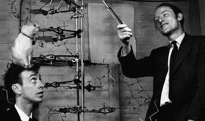 DNA keşfi DNA günü
