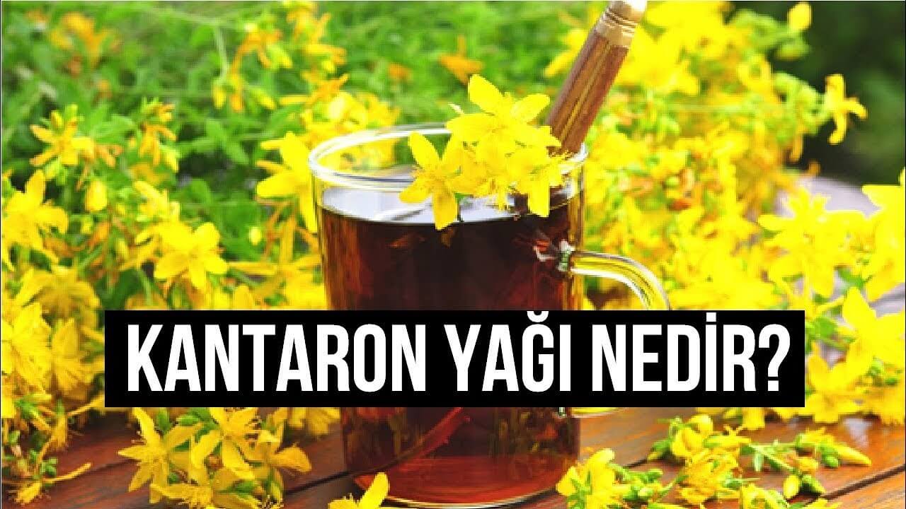 kantaron yağı