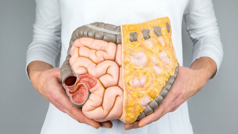 Bağırsak Emilim Bozukluğu