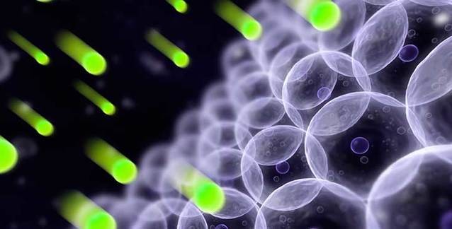 Oksidatif Stres ve Antioksidanlar